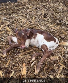 WT KID ROCK X SDR SPICEY TAG 2318 ET HFR.