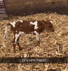  TCC DANI X WT KID ROCK  TAG 7214