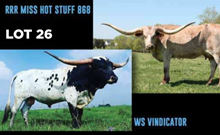 RRR HOT STUFF 868 & WS VINDICATOR EMBRYO