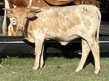 Kid's Summer Night JH